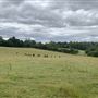 Waddle Farm