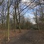 Wanstead Park