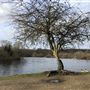 Wanstead Park