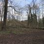 Wanstead Park