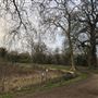 Wanstead Park