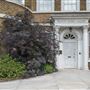 William Morris Gallery