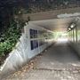 Lea Bridge Road Tunnel