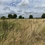 Leyton Marsh