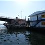 London's Royal Docks