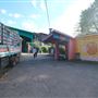 London Zoo
