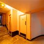 The Apollo Club