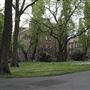 St Pancras Old Church