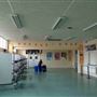 Orleans Park School
