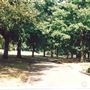 Beckenham Place Park