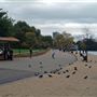 Hyde Park
