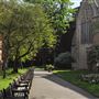 Mount Street Gardens