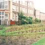 Walpole Park
