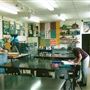 Charles Darwin School