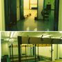 Charles Darwin School