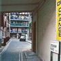Stedham Place