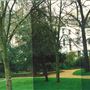 Arundel & Elgin Communal Gardens