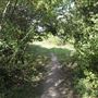 Stave Hill Ecological Park