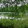 Little Britain Lake