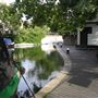Little Venice area