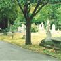 St Mary's Cemetery, Wandsworth