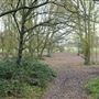 Wimbledon Common