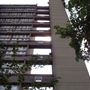 Trellick Tower and Edenham Estate