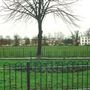 Mitcham Cricket Green