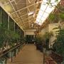 London Zoo