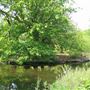 Crystal Palace Park