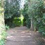 Crystal Palace Park