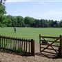 Holland Park