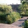 Camley Street Natural Park