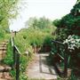 Camley Street Natural Park