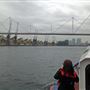 London's Royal Docks - Royal Victoria Dock