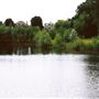 Bedfont Lakes Country Park