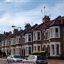 Isle of Dogs