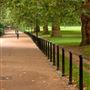 Green Park, The