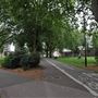 London Fields