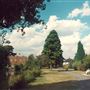 Clockhouse Gardens