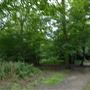 Highgate Wood
