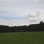Highgate Wood