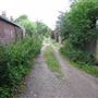Brompton Grove