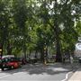 Bruton Street