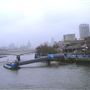 Golden Jubilee Bridges