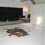 Empire Spaces - Wadeson Street