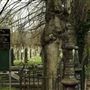Tottenham Cemetery