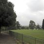 Norwood Grove