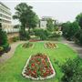 Queens Gardens, Croydon