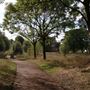 Mile End Park